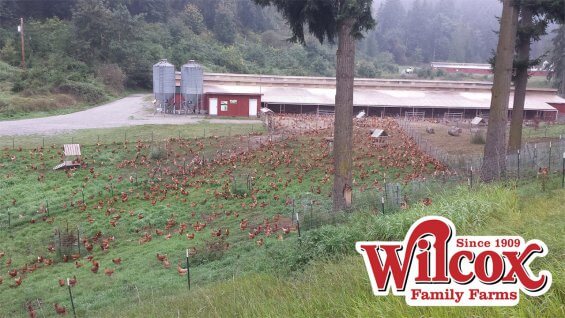 Wilcox Family Farms, Pierce County, Washington