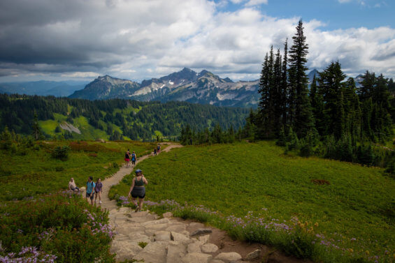 Group of people hike along Mt. Rainier in Tacoma
