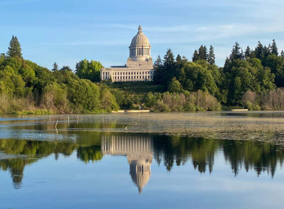An image of the Washington state capitol in the distance